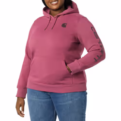 Carhartt womens Clarksburg Graphic Sleeve Pullover (Regular and Plus S