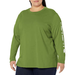 carhartt Womens Loose Fit Heavyweight Long Logo Sleeve graphic T-Shirt  Arborvitae Heather  Small