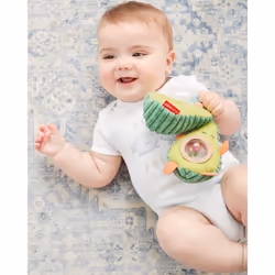 Skip Hop Baby Musical Toys Gift Set  Farmstand Fresh Picks  3 Months+