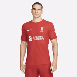 Nike DJ7647-609, Adult, Male, T-shirt, Football, XS, 1 pc(s)