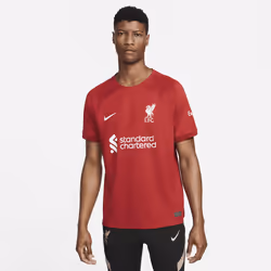 Nike DM1843-609, Adult, Male, T-shirt, Football, S, 1 pc(s)