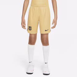 Nike DJ7928-714, Child, Football, XL, 1 pc(s)