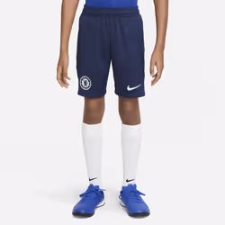 Nike DM2878-419, Child, Football, L, 1 pc(s)