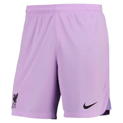2022-2023 Liverpool Home Goalkeeper Shorts (Lilac) - 3XL