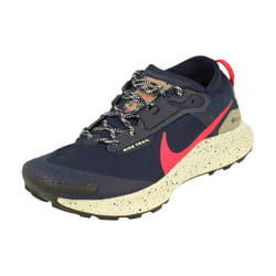 Nike Air Pegasus Trail 3 Gtx Running Trainers Dc8793 Sneakers Shoes - 6