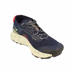 Nike Air Pegasus Trail 3 Gtx Running Trainers Dc8793 Sneakers Shoes - 7