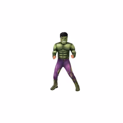 301735XS Hulk Deluxe Kids Fancy Dress, Boys, Multicolour, 5-6 Years