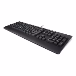 Lenovo 4Y41R64615, Full-size (100%), Wired, USB, Plunger key switch, Black
