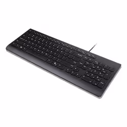 Lenovo 4Y41R64633 keyboard Home/Office USB US English Black - Additional view 2