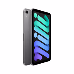 Apple iPad mini 5G TD-LTE & FDD-LTE 256 GB 21.1 cm (8.3") Wi-Fi 6E (802.11ax) iPadOS 18 Grey