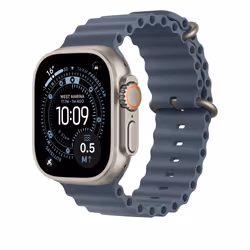 Apple Natural Titanium Finish Band Blue Fluoroelastomer, Titanium - Additional view 2