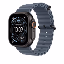 Apple Titanium Finish Band Blue Fluoroelastomer, Titanium - Additional view 2
