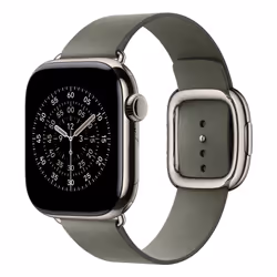 Apple 42mm Sage Grey Modern Buckle - Large - Additional view 2