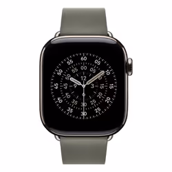Apple 42mm Sage Grey Modern Buckle - Large - Additional view 3