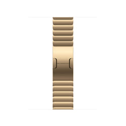 Apple 42mm Radiant Gold Link Bracelet