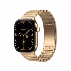 Apple 42mm Radiant Gold Link Bracelet - Additional view 2