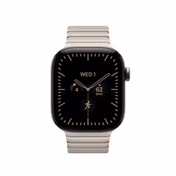 Apple 42mm Natural Link Bracelet - Additional view 3