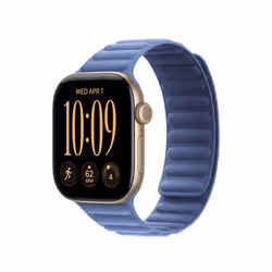 Apple 42mm Wildflower Blue Magnetic Link - S/M - Additional view 2