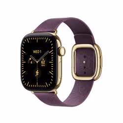 Apple 42mm Mulberry Modern Buckle - Small - Additional view 2