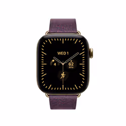 Apple 42mm Mulberry Modern Buckle - Medium - Additional view 3