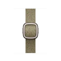 Apple 42mm Sage Modern Buckle - Small
