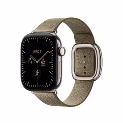 Apple 42mm Sage Modern Buckle - Large - Additional view 2