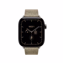 Apple 42mm Sage Modern Buckle - Large - Additional view 3