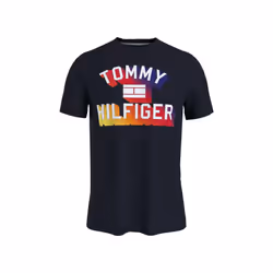 Tommy Hilfiger mens Short Sleeve Graphic T Shirt  Sky Captain  Small U