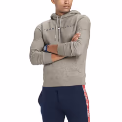Tommy Hilfiger Men's THD Hoodie Sweatshirt  Sport Grey Heather  XL
