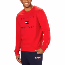 Tommy Hilfiger Mens Midweight Crewneck Sweatshirt (as1  alpha  l  regu