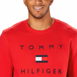 Tommy Hilfiger Mens Midweight Crewneck Sweatshirt (as1  alpha  l  regu