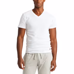 POLO RALPH LAUREN Underwear Men's 3 Pack Slim Fit V Neck Tees  White