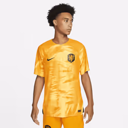Nike DN0629-845, Adult, Male, T-shirt, Football, 2XL, 1 pc(s)
