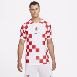 Nike DN0684-100, Adult, Male, T-shirt, Football, M, 1 pc(s)