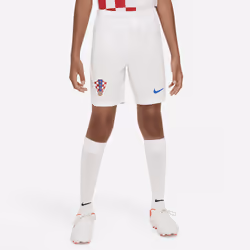Nike DN0859-100, Child, Football, XL, 1 pc(s)