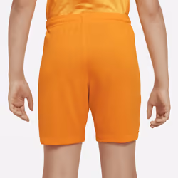 Nike DN0868-833