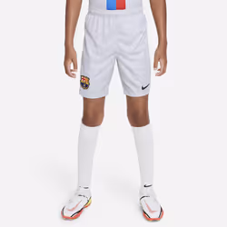 Nike DN2746-042, Child, Football, M, 1 pc(s)
