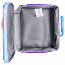 Frozen Sisters Forever Insulated Lunch Box