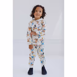 Disney Donald Duck Goofy Mickey Mouse Little Boys French Terry Pullove