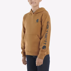 Carhartt Boys' Long Sleeve Hooded Sweatshirt  Brown  Medium (10/12)