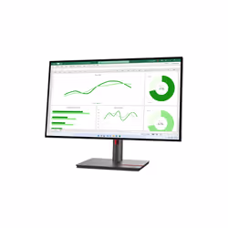 Lenovo ThinkVision P27q-30 LED display 68.6 cm (27") 2560 x 1440 pixels Quad HD Black - Additional view 4