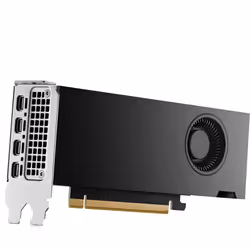 HP NVIDIA RTX PH x2xxx 4mDP Graphics - Additional view 6