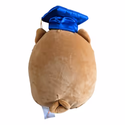 Squishmallows Graduation Class Squad Plush - Official Kellytoy Plush S