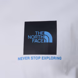 The North Face Mens Small Box Logo T-Shirts - White, X-Large