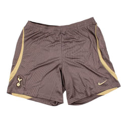 2023-2024 Tottenham Strike Training Shorts (Ironstone) - XL
