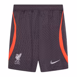 2023-2024 Liverpool Strike Training Shorts (Gridiron) - XL
