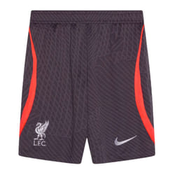 2023-2024 Liverpool Strike Training Shorts (Gridiron) - XL