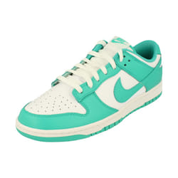 Nike Dunk Low Retro Bttys Mens Trainers Dv0833 Sneakers Shoes - 11.5