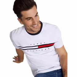 Tommy Hilfiger Men's Regular Fit Flag Embroidered Crew Neck T-Shirt  W