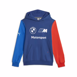PUMA BMW M Motorsport Hoodie